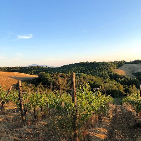 Podere Sole Trequanda Eksteriør billede